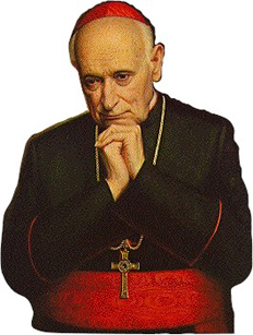 card-c4_new.jpg
