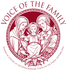 voice-of-the-family-logosmall3.png